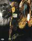 Jamaica Usain Bolt Signed 2009 Summer Olympics'jamaica' 11x14 Photo Bas Coa 11