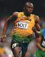 Usain Bolt Olympic Track Star Hand Autographed Signed 8x10 Photo Proof 100 Rio